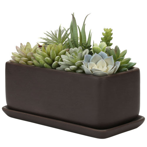 Matte Brown Succulent Planter Box w/ Removable Tray-MyGift
