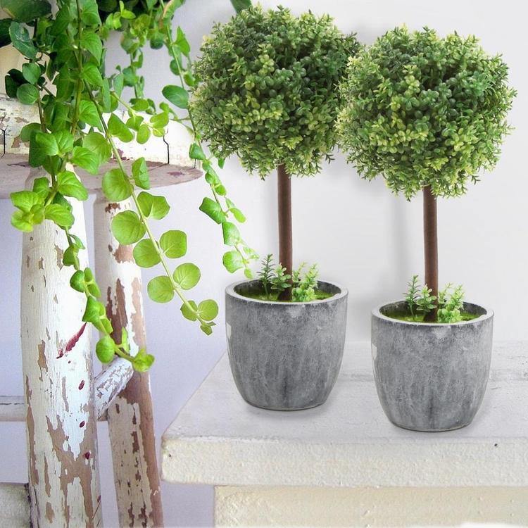 Artificial Boxwood Topiary Tabletop Trees, Set of 2 - MyGift