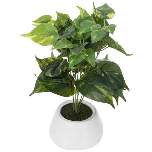 Artificial Devil's Ivy, Pothos Plant in White Ceramic Planter Pot - MyGift