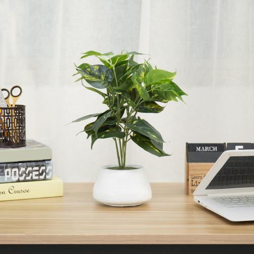 Artificial Devil's Ivy, Pothos Plant in White Ceramic Planter Pot