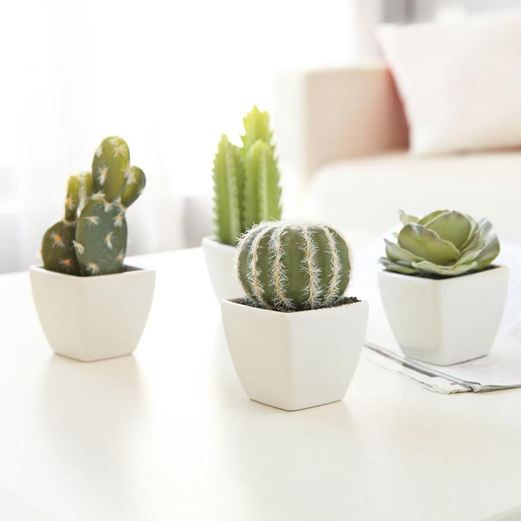 Artificial Mini Succulent & Cactus Plants, Set of 4