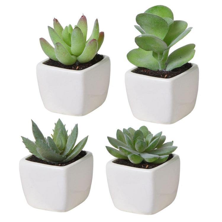 Artificial Square Succulent Planter, Set of 4 - MyGift