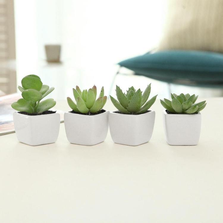 Artificial Square Succulent Planter, Set of 4 - MyGift