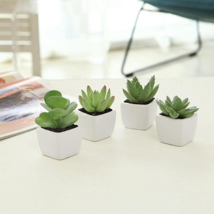 Artificial Succulents in White Square Pots, Set of 4