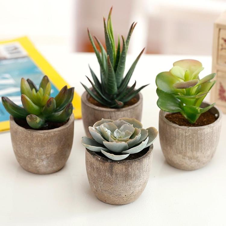 Artificial Succulent Plants with Pots, Set of 4