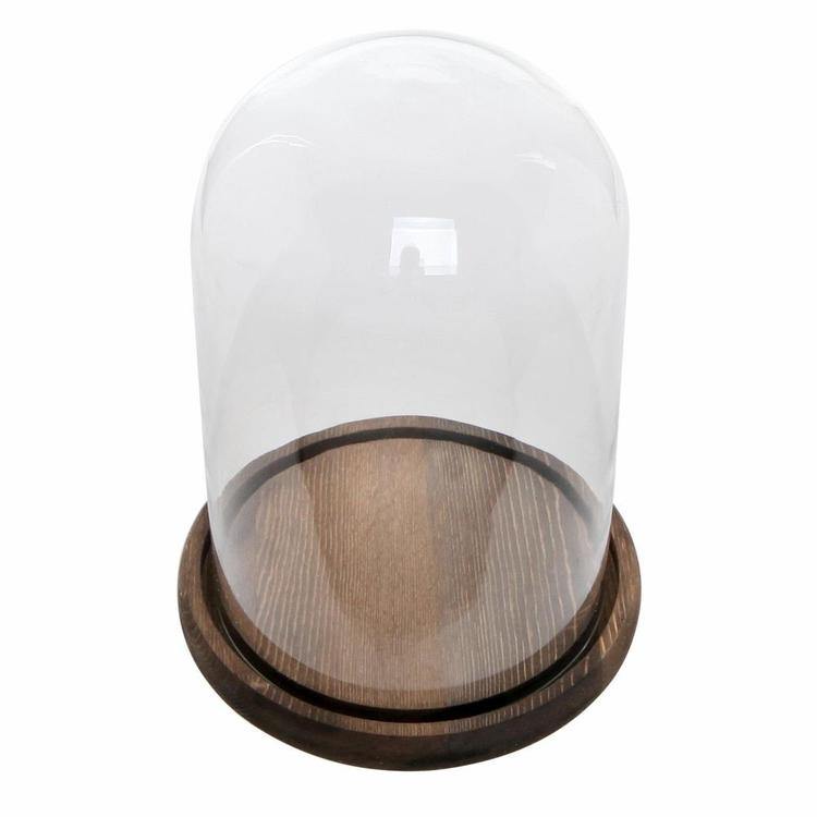 Clear Glass Cloche Bell Jar Display Case - MyGift