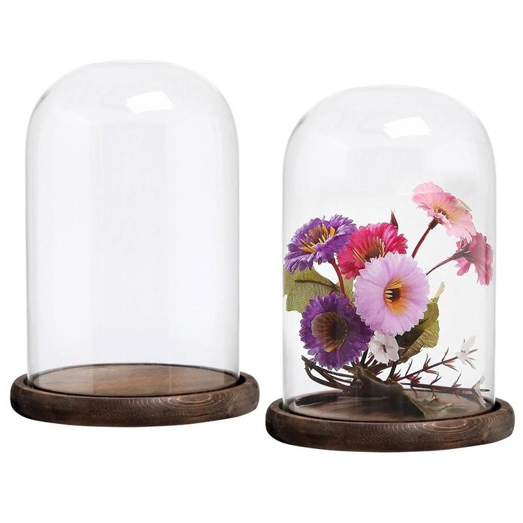10 x 7 Inches Clear Glass Cloche Bell Jar Display Case with Round Wood Base, Set of 2 - MyGift Enterprise LLC
