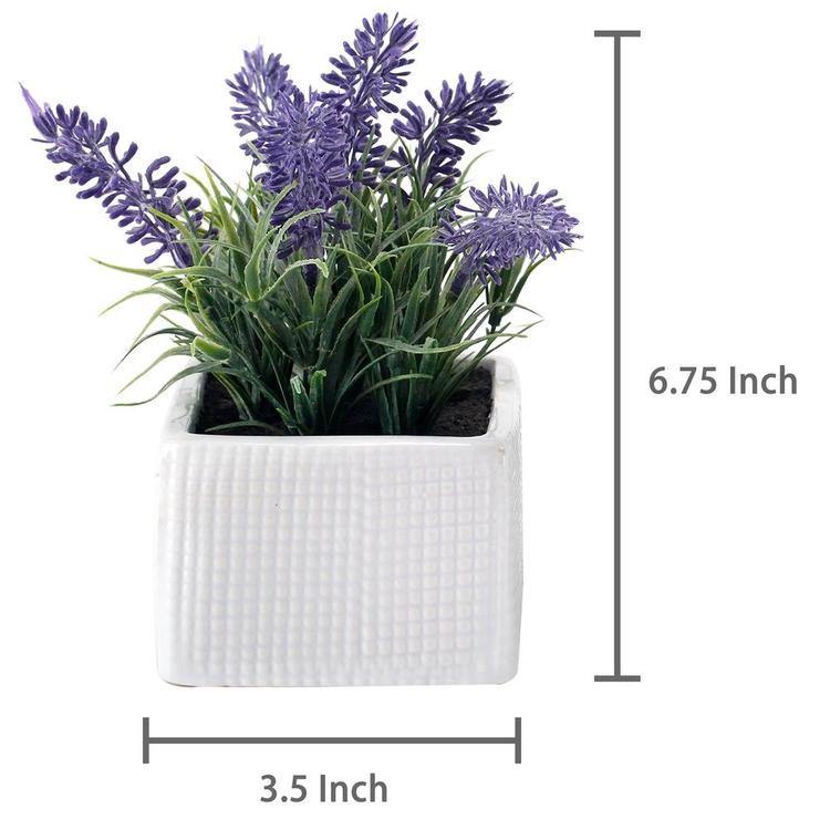 Faux Lavender Plants in White Ceramic Pots, Set of 3 - MyGift