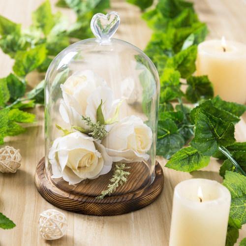 Glass Dome with Heart Handle & Dark Brown Wooden Base