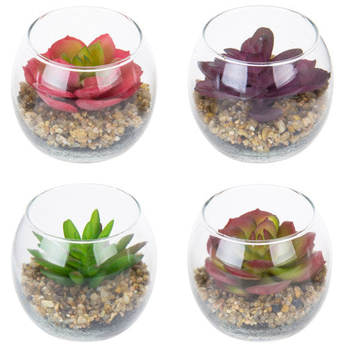 Mini Artificial Succulents in Modern Clear Round Glass Vases, Set of 4-MyGift