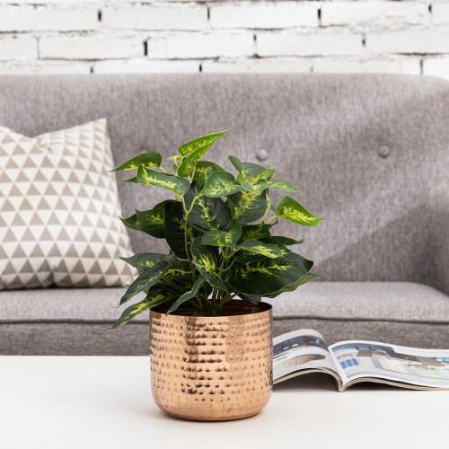 indoor cactus plant pots Faux Tall Blue Torch Cactus Plant Store Window Display Home Decor Prop –  Jamali Garden main image 0