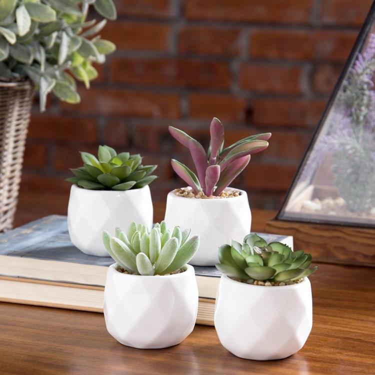 geometric white planter pot Mini Artificial Succulent Plants in Geometric Plant Pots
