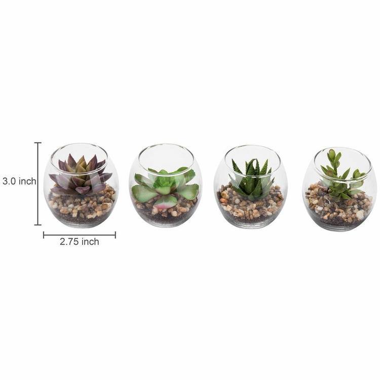 Mini Clear Artificial Plant Glass Display Vases, Set of 4 - MyGift