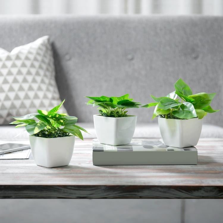 Mini Square Potted Plants Set of 3 - MyGift