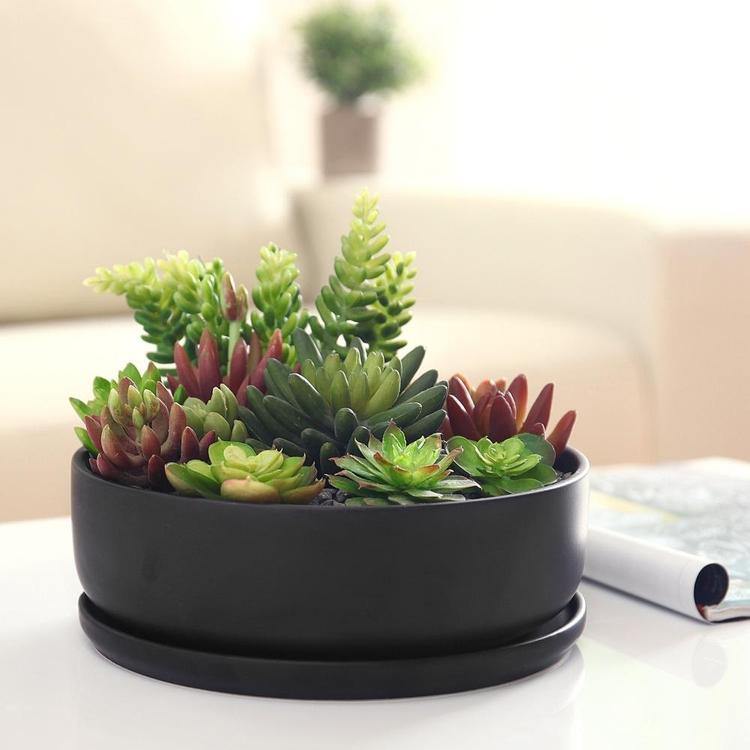 round succulent pot Modern Round Black Ceramic Succulent Planter with Saucer