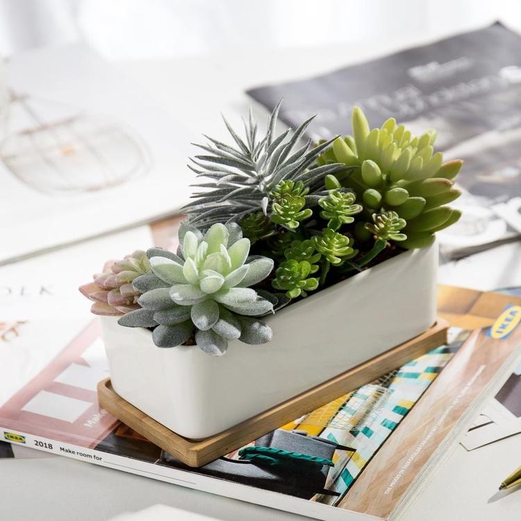 Potted Artificial Succulents in Rectangular Ceramic Plant Pot with Bamboo Tray
