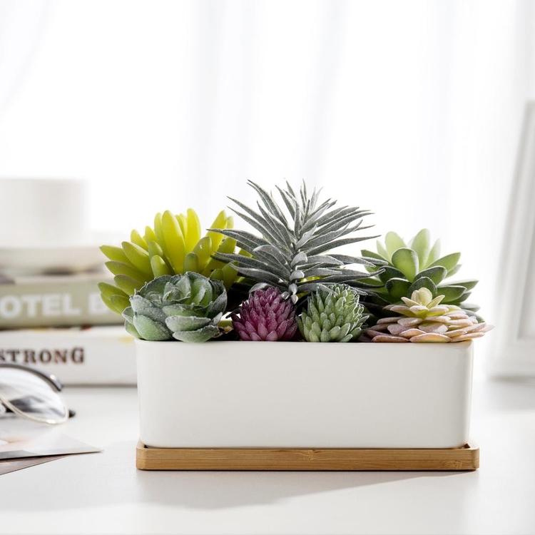 Potted Artificial Succulents in Rectangular Ceramic Plant Pot with Bamboo Tray