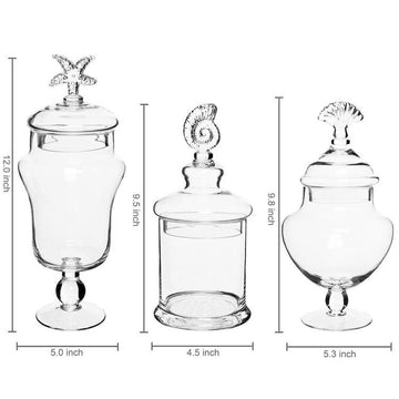 Seashell Handle Clear Glass Apothecary Jars / Food Storage Canisters, Set of 3 - MyGift Enterprise LLC