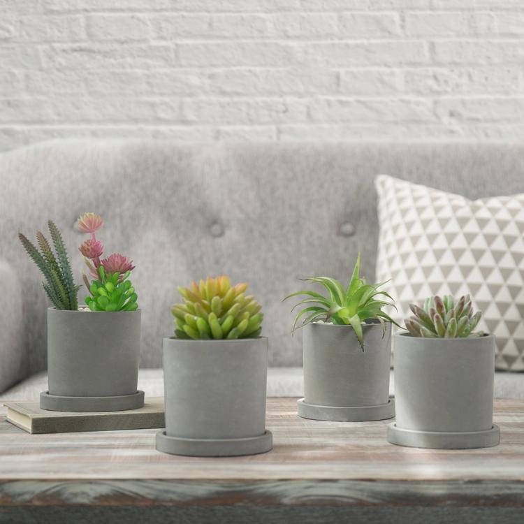 Set of 4 Round Cement Succulent Planters