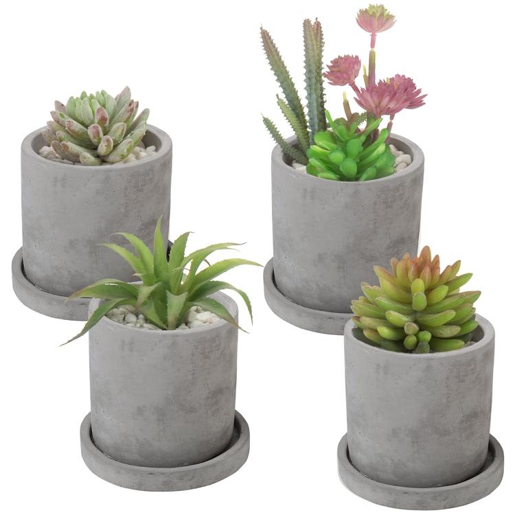 Set of 4 Round Cement Succulent Planters