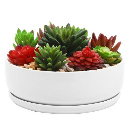 White Ceramic Round Succulent Planter Pot w/ Saucer - MyGift