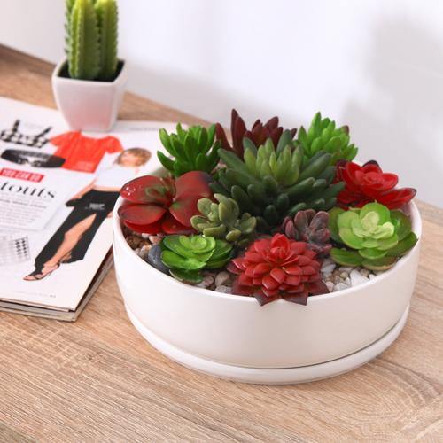 White Ceramic Round Succulent Planter Pot w/ Saucer - MyGift