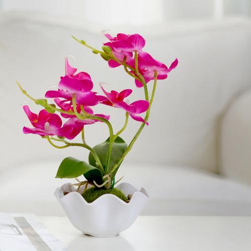 Artificial Silk Phalaenopsis Orchid Flower w/ White Planter