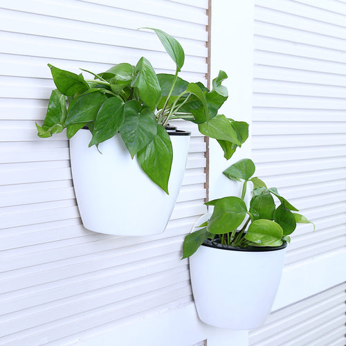 Wall Mounted Self Watering White Planter Pots, Set of 2