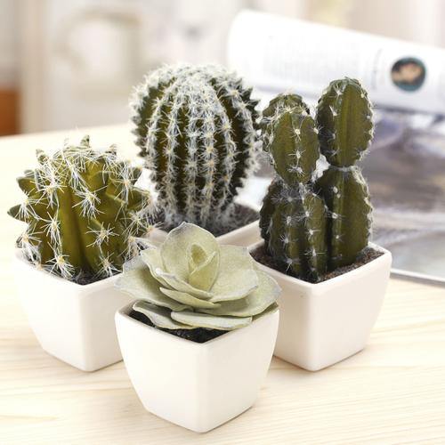 Mini Assorted Artificial Cactus Plants, Set of 4 - MyGift