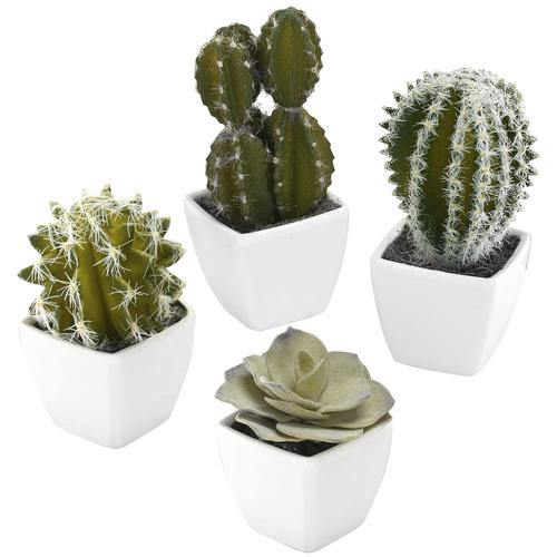 Mini Assorted Artificial Cactus Plants, Set of 4 - MyGift