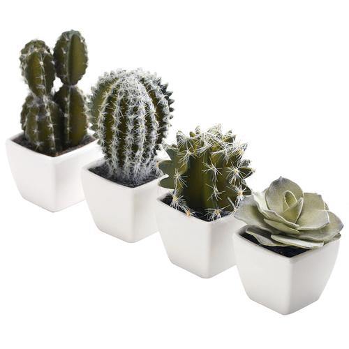 Mini Assorted Artificial Cactus Plants, Set of 4 - MyGift