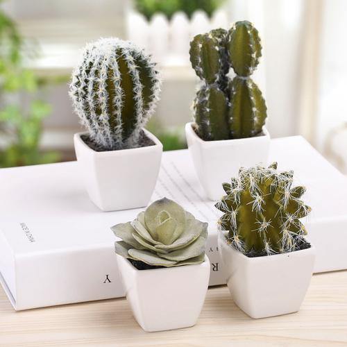 Mini Assorted Artificial Cactus Plants, Set of 4 - MyGift