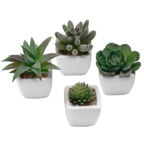 Miniature Artificial Succulent w/ Square White Ceramic Plant Pots, Set of 4
