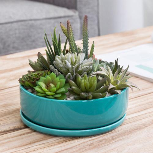 Turquoise Ceramic Succulent Planter with Removable Saucer - MyGift