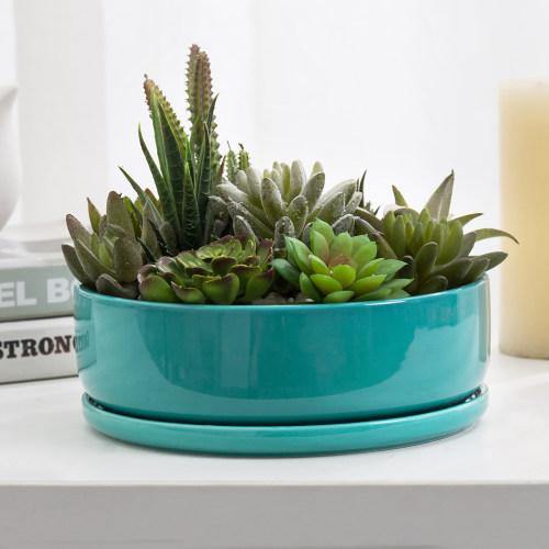 Turquoise Ceramic Succulent Planter with Removable Saucer