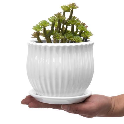 White Ceramic Pots with Saucers, Set of 3 - MyGift