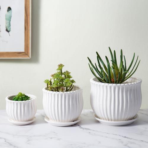 Round White Ceramic Planter Pots with Saucers, Set of 3