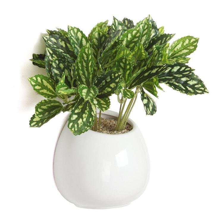 6 Inch White Ceramic Wall Mounted /  Freestanding Decorative Vase Holder Display - MyGift Enterprise LLC