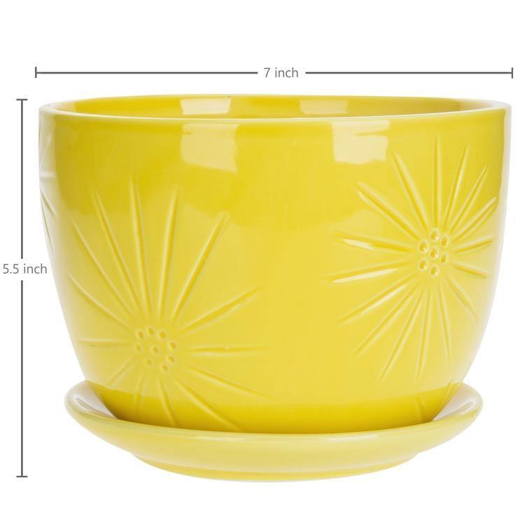 Yellow Sunburst Ceramic Pot with Saucer - MyGift