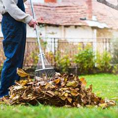 10 Essential Cleaning Tasks for a Refreshing Fall