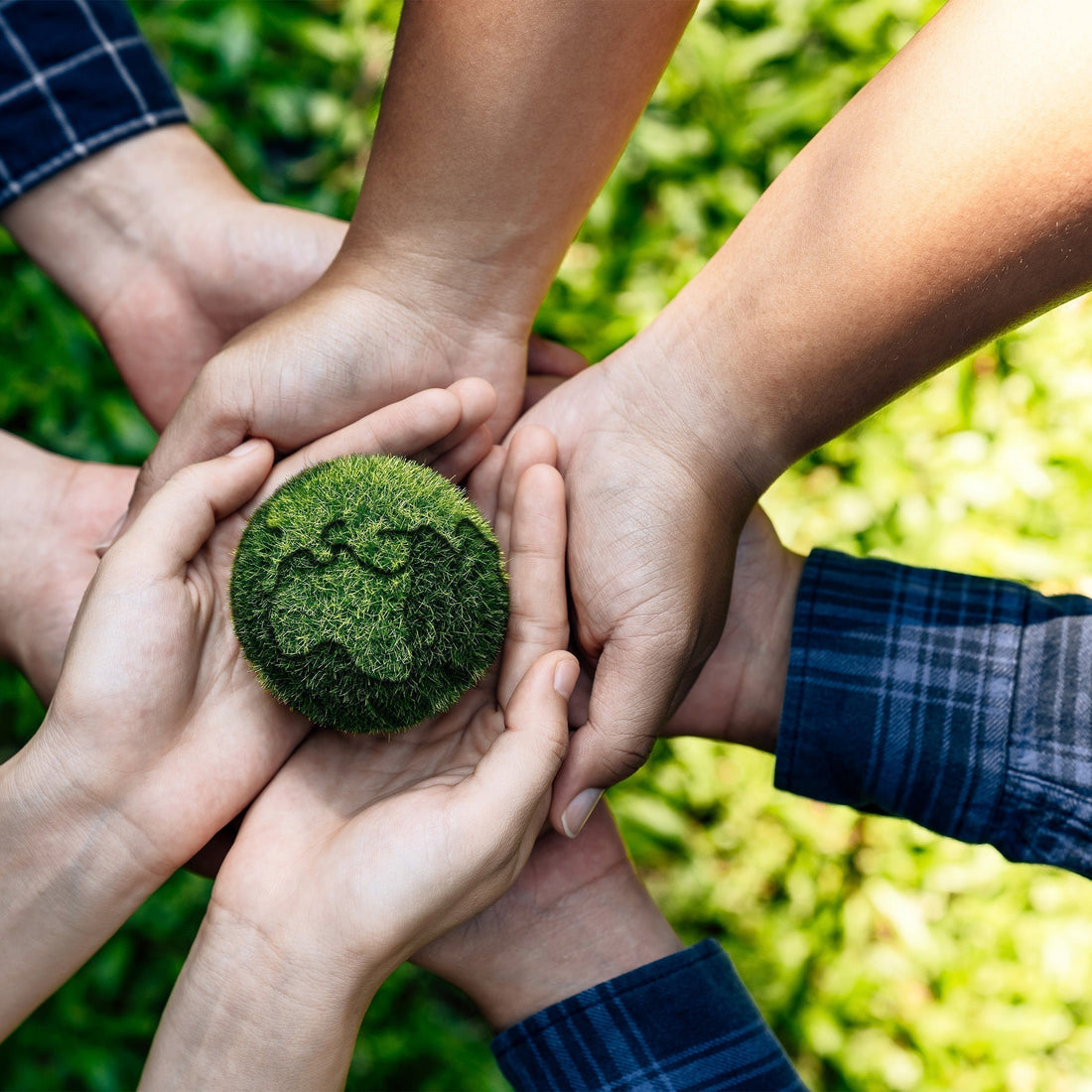 Earth Day Activities to Inspire a Greener Lifestyle