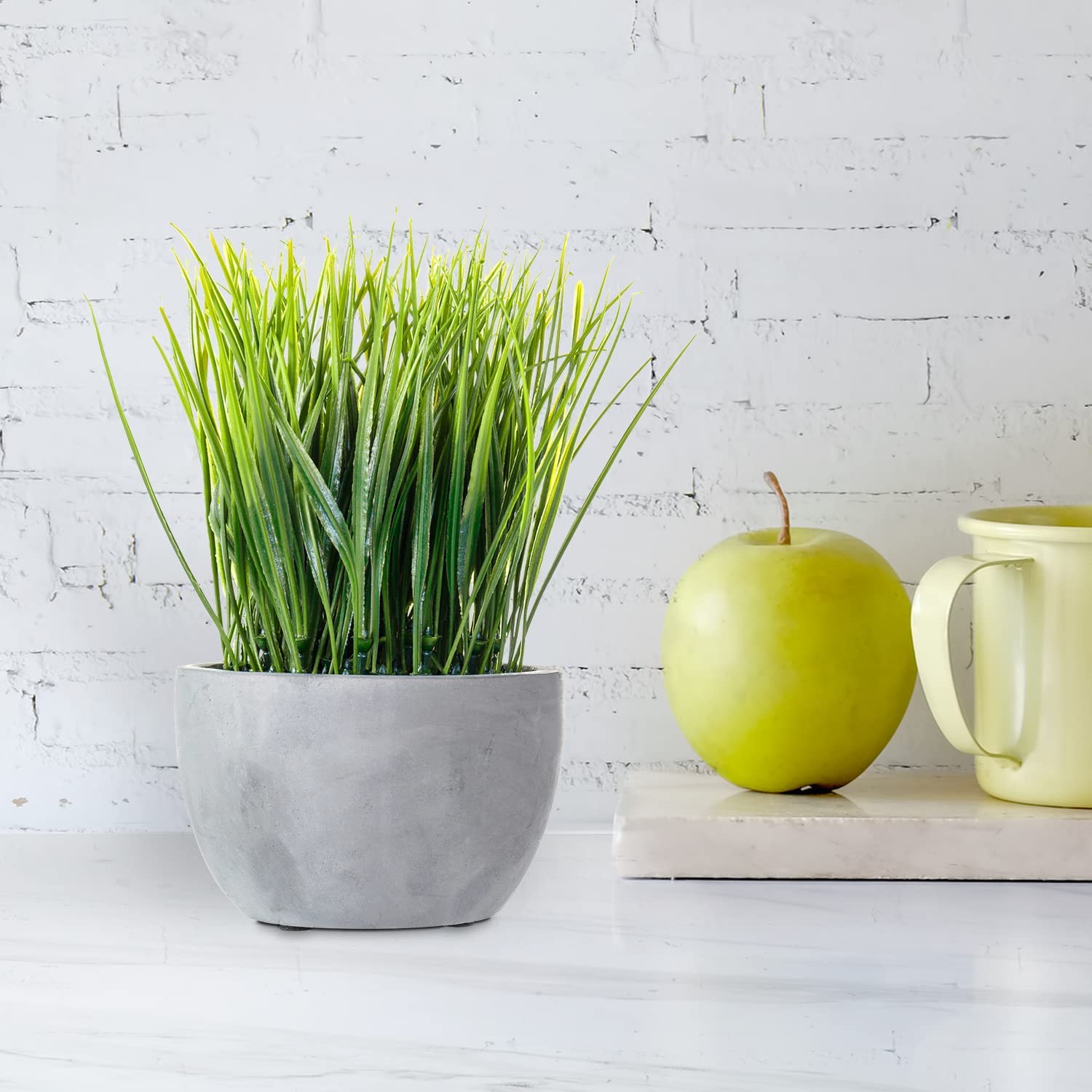 Planter & Vases