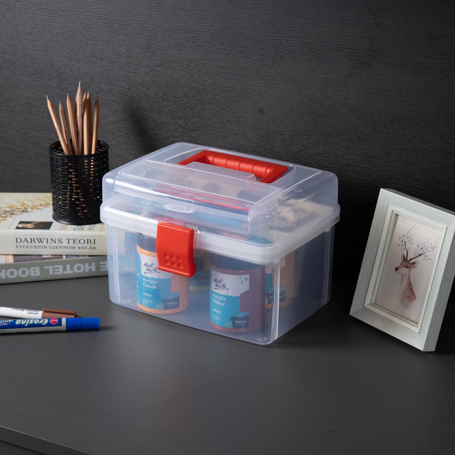 Clear First Aid Bin with Detachable Tray, Portable Emergency Kit, Medicine and Medical Supply Travel Tote, Arts & Craft Storage Box