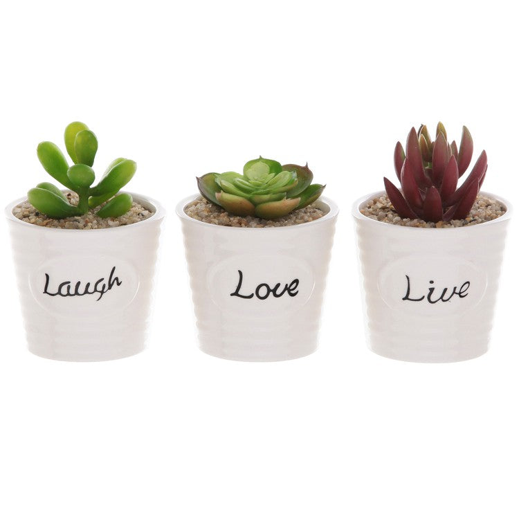 Set of 3 White Ceramic Ribbed Design LIVE LAUGH LOVE Expression Mini Plant Containers-MyGift