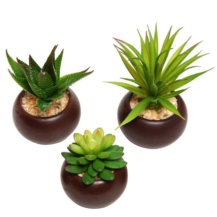 Artificial Mini Succulent Plants in Brown Planter, Set of 3 - MyGift