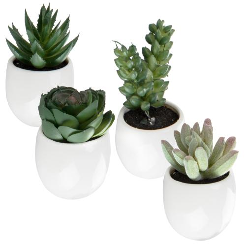 Mini Faux Succulents in White Magnetic Ceramic Planters, Set of 4-MyGift