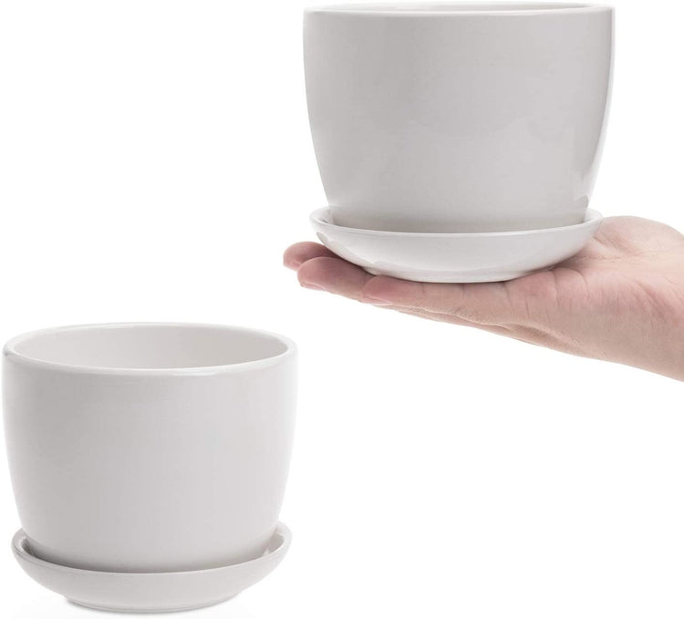 Set of 2, 4 Inch Off-White Ceramic Succulent Planter Flower Pots with Saucer-MyGift