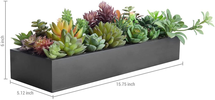Artificial Succulent Plants in Rectangular Modern Black Wood Plant Box-MyGift