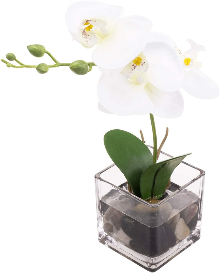 Mini White Artificial Silk Orchid Flower in Square Glass Container-MyGift