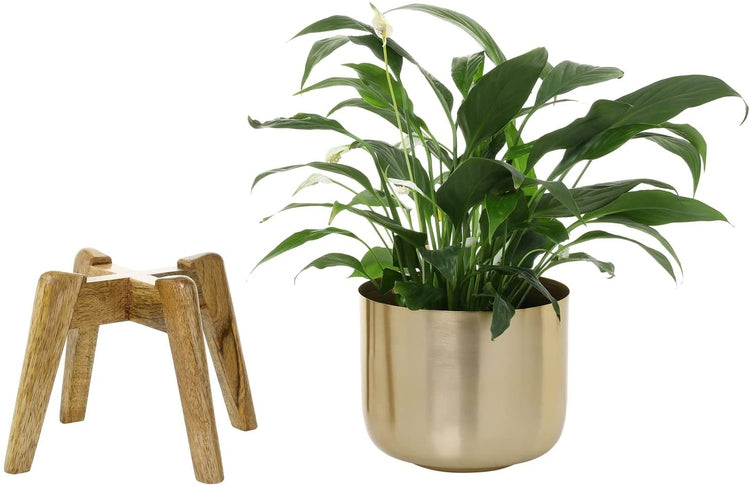 Small Plant Pot, Decorative Brushed Brass Metal Pot with Solid Mango Wood Planter Stand-MyGift